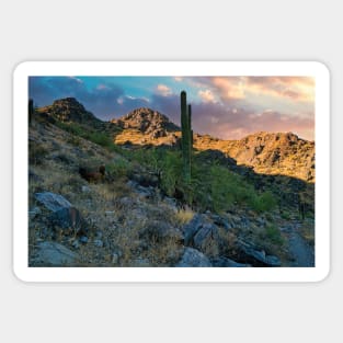 Dawn in the Desert Mountains Sticker